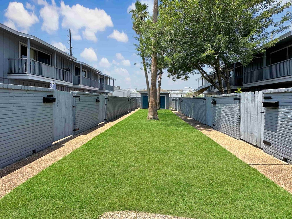 a yard between two buildings with a tree and grass