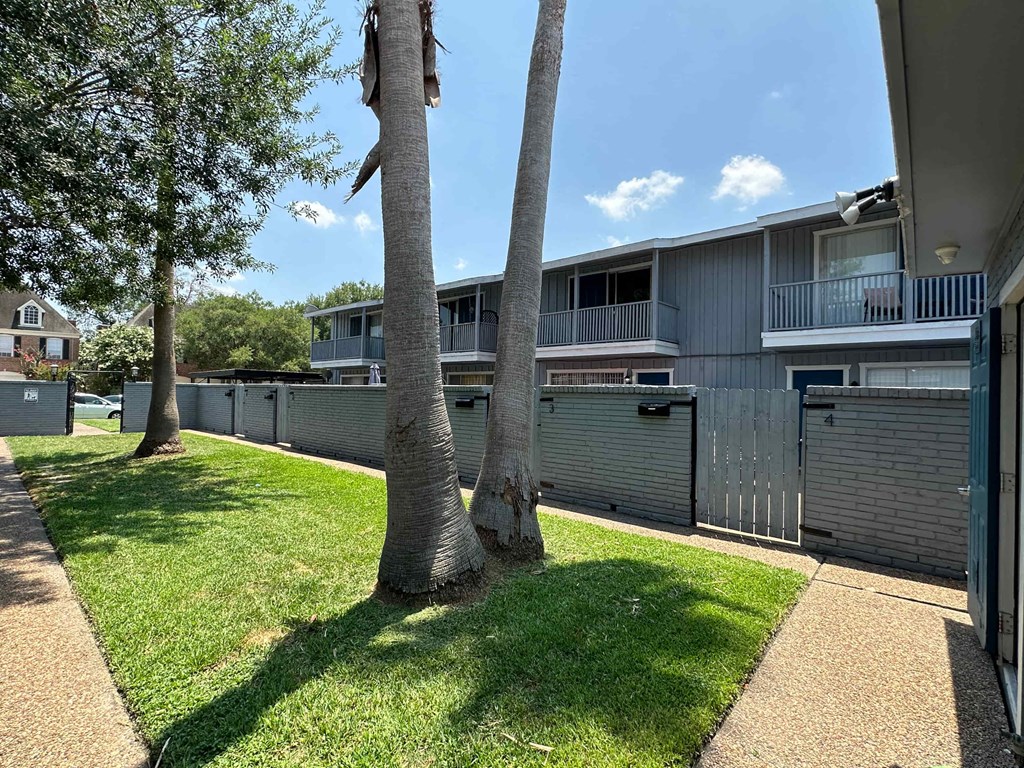 the backyard of a house with two palm trees in front of it