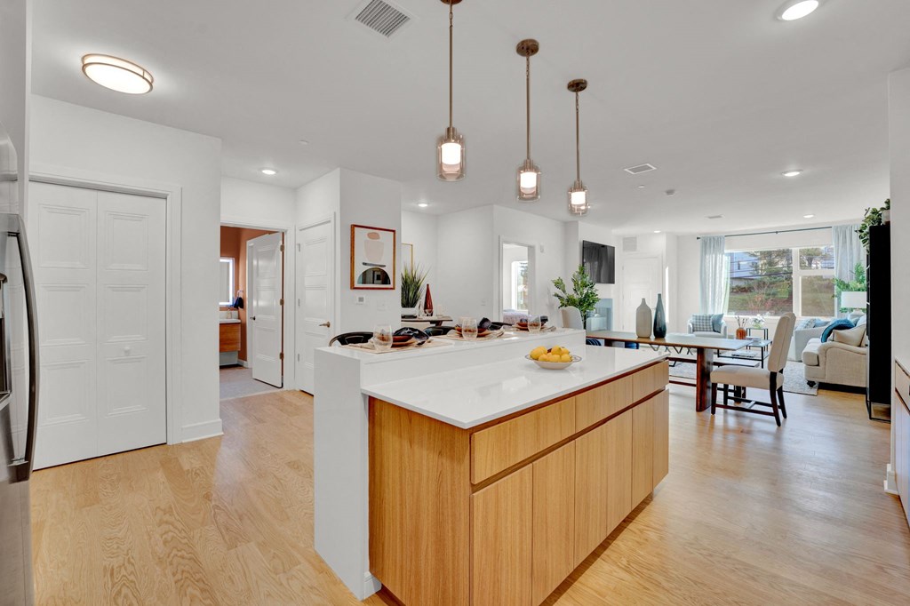 Kitchen island and living area