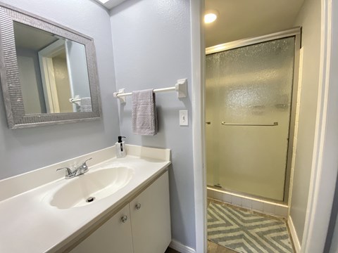 a bathroom with a sink and a shower and a mirror