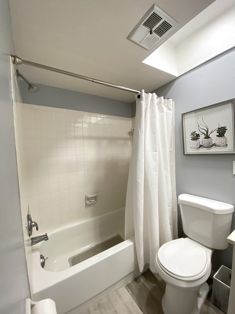 a bathroom with a toilet and a tub and a shower curtain