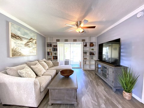 a living room with a couch and a tv