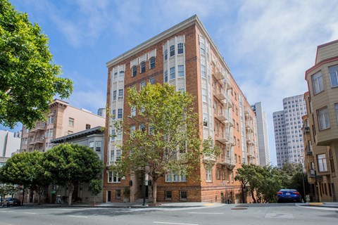 A tall red brick building with a tree in front of it.