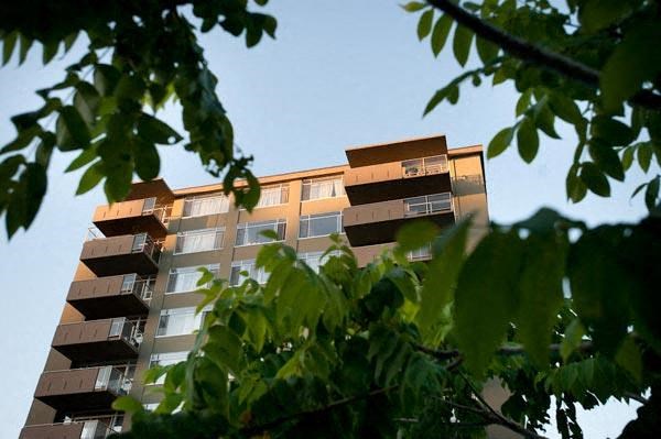 A tall building with balconies is seen through the leaves of a tree.