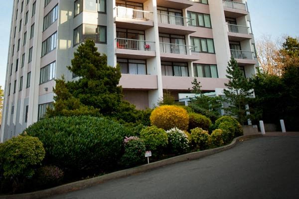 A tall building with balconies and windows is surrounded by green bushes and trees.