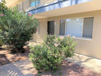 1111 East Turney Avenue 1 Bed Apartment for Rent