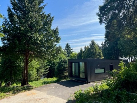 A modern house is surrounded by trees and greenery.
