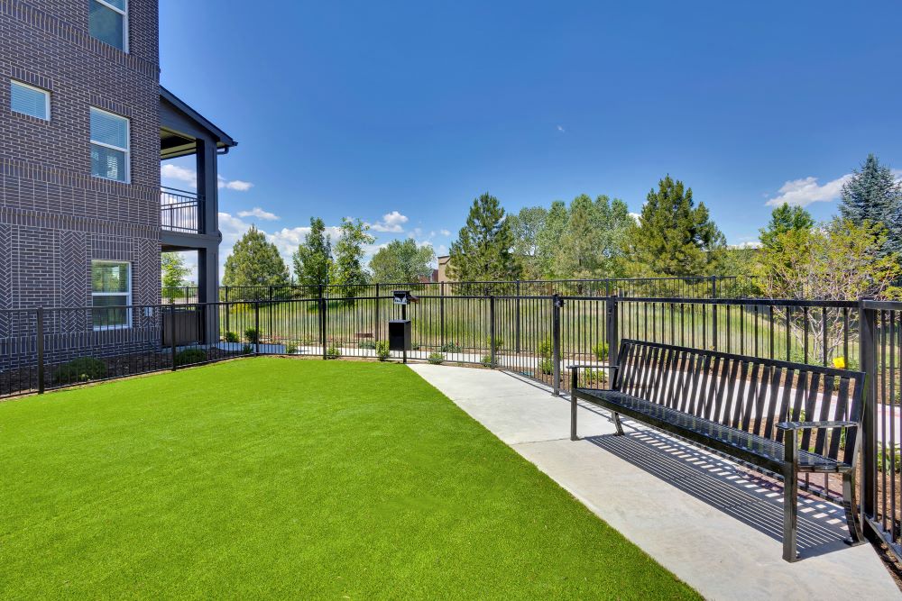 Pet park with park bench and open space