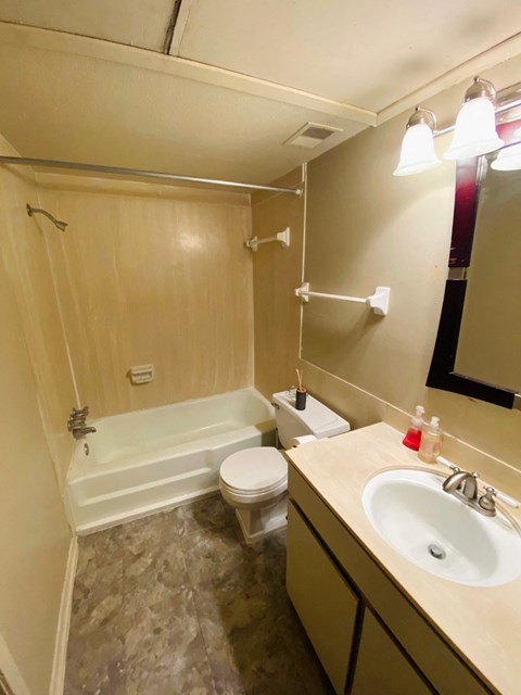a bathroom with a sink and a toilet and a bath tub
