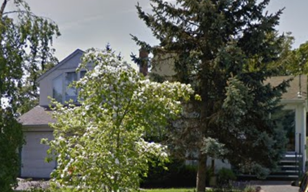 A white house with a tree in front.