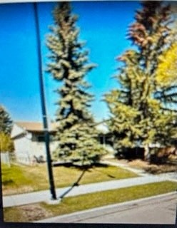 a picture of a tree in front of a house