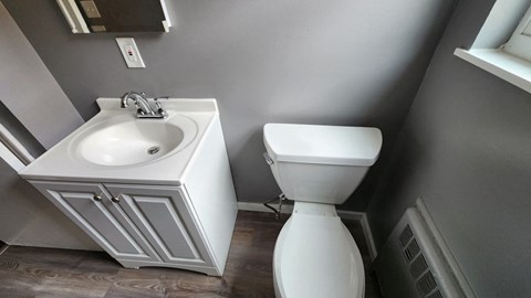 a bathroom with a toilet and a sink and a mirror