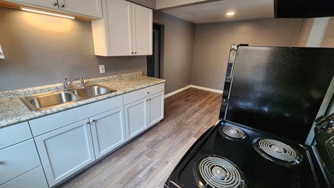 a kitchen with a stove and a sink and a refrigerator