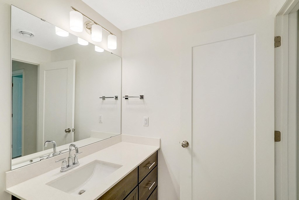 a bathroom with a sink and a mirror and a shower