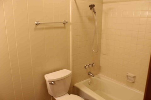 a bathroom with a toilet and a bath tub