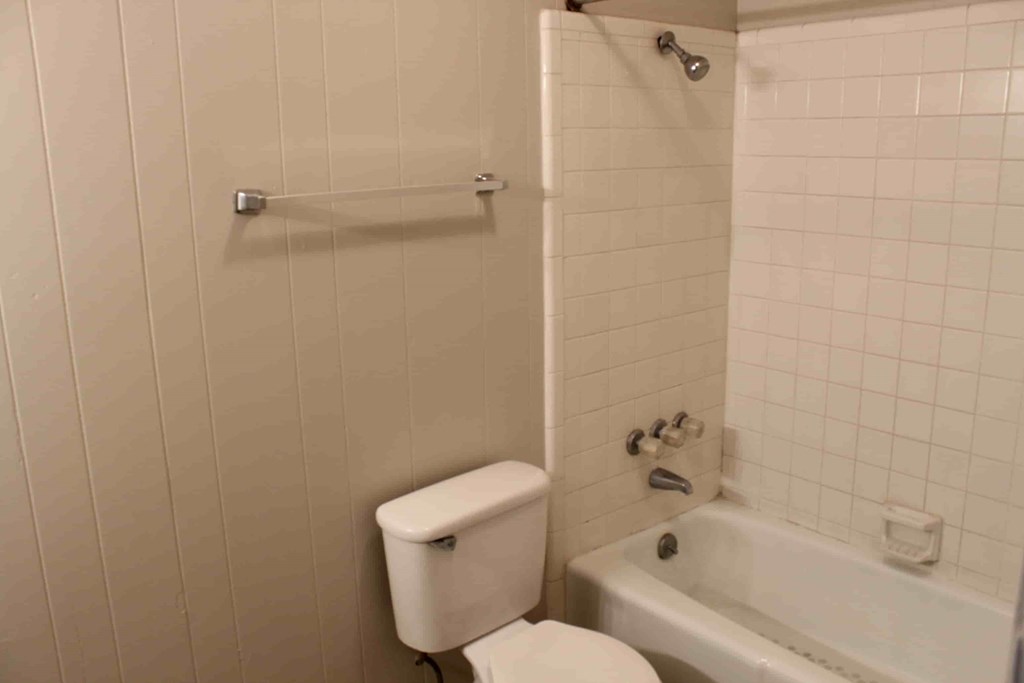 a bathroom with a toilet and a tub