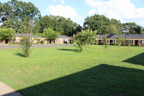 a field of grass with houses in the background