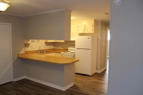 an empty kitchen with a sink and a refrigerator