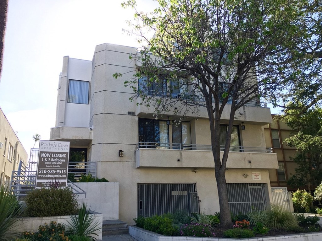 an apartment building with a tree in front of it