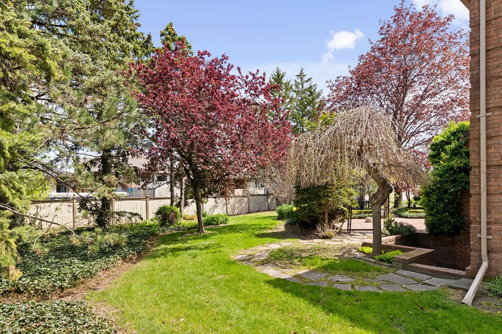 a backyard with grass and trees and a walkway