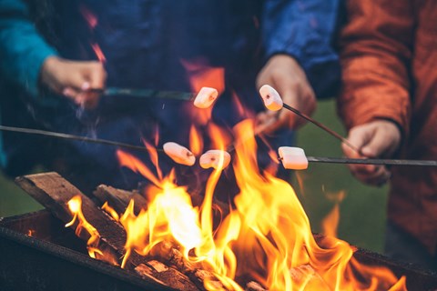 people roasting marshmallows over a fire