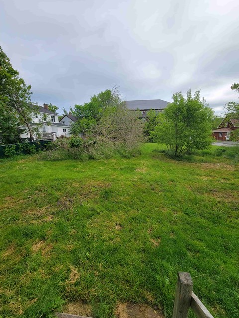 a grassy field with trees and houses in the background
