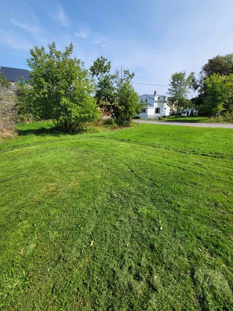 a large field of grass with a house in the background