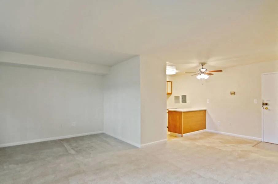 1A Living Room and Kitchen