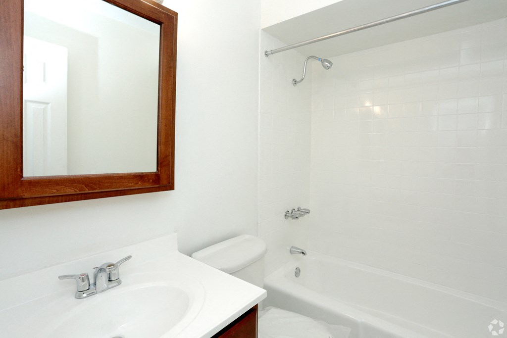 a bathroom with a sink and a shower and a mirror