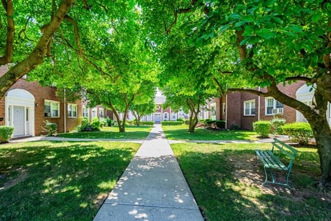 a tree lined sidewalk in front of a brick building