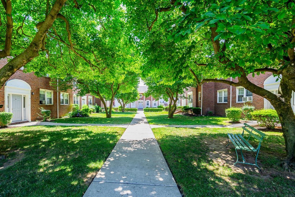 a tree lined sidewalk in front of a brick building