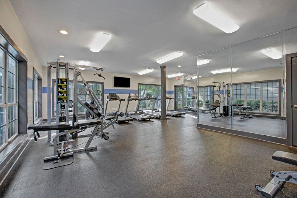 a gym with weights and mirrors and windows