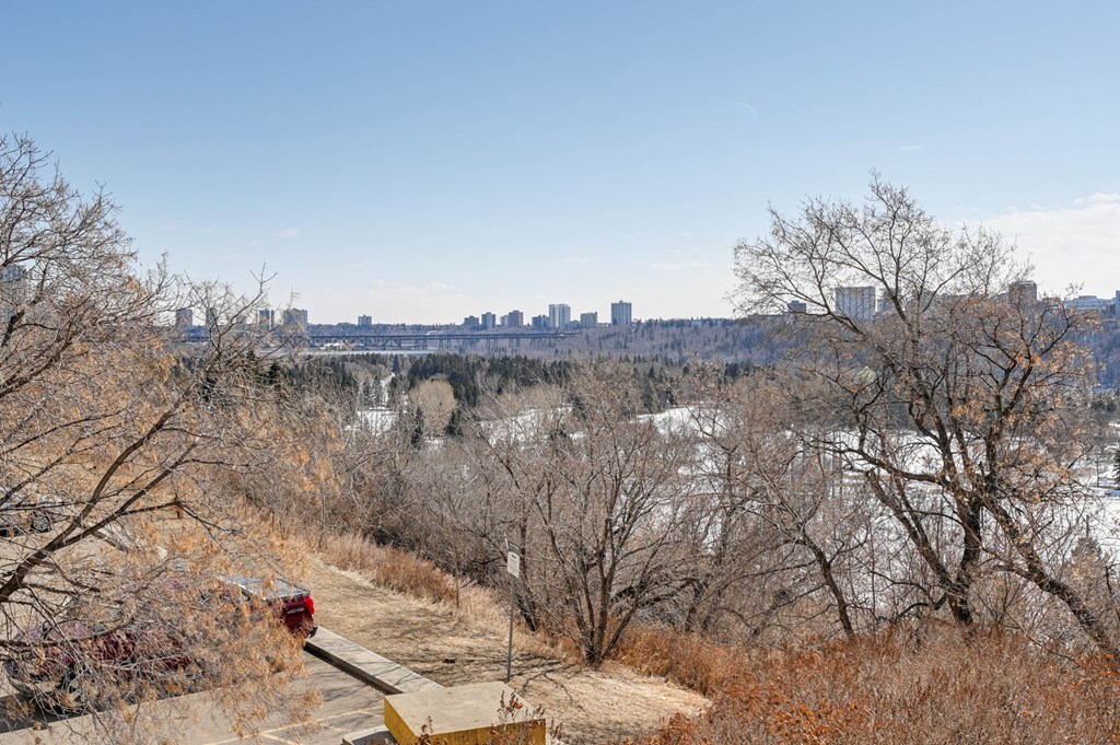 a view of the city skyline from a park with trees