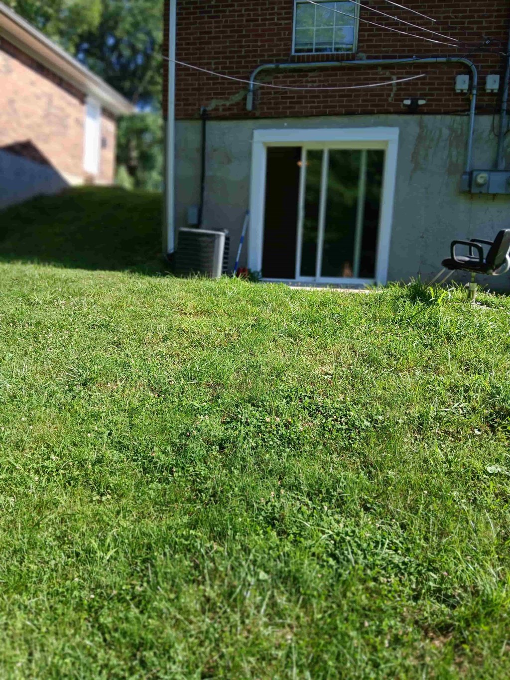 a yard with grass in front of a house