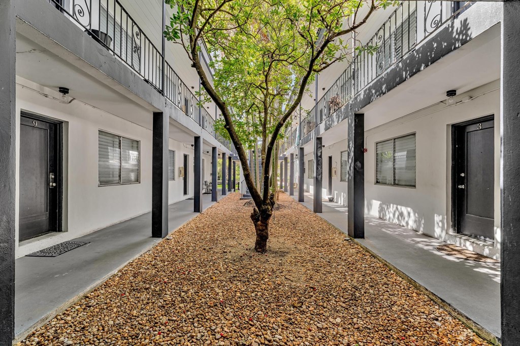 A tree in a courtyard surrounded by buildings.