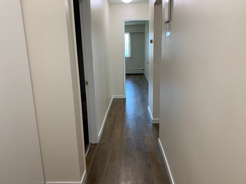 409 Ash Street 1-2 Beds Apartment for Rent - Photo Gallery 3