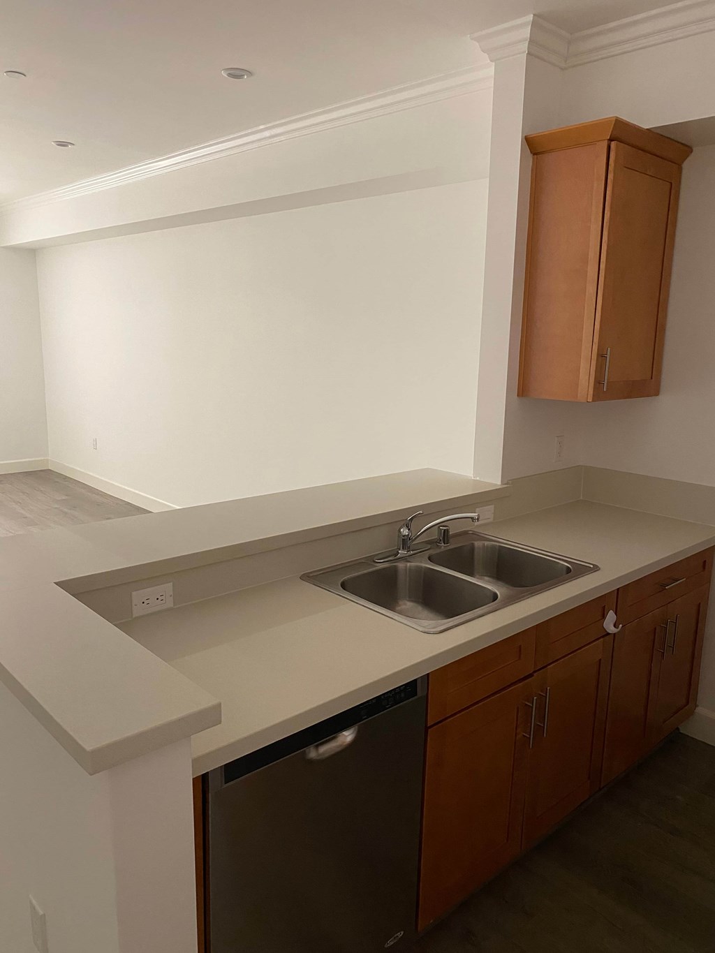 A kitchen with a sink and a dishwasher.