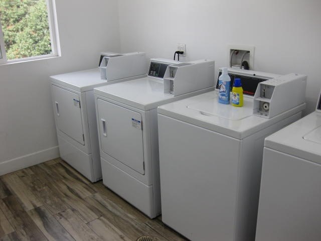 A row of washing machines are lined up in a laundry room.