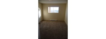 Renovated 1 bdrm