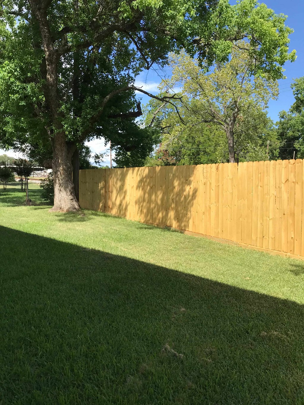 a wooden fence in a backyard with a tree and grass