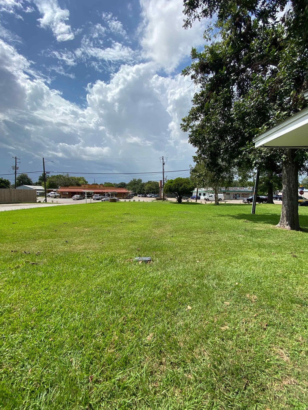a grassy field with trees and a building in the background