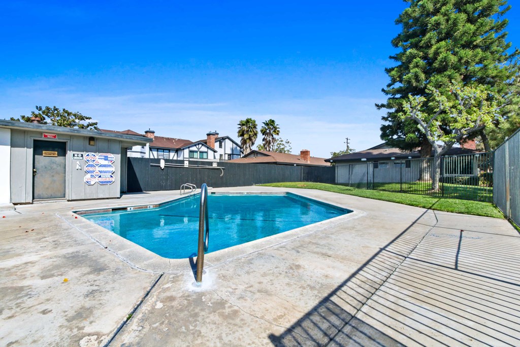 a swimming pool in a backyard with a fence and a tree