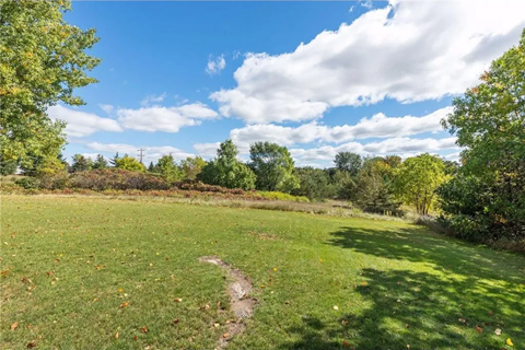 a grassy field with trees in the background and a dirt trail