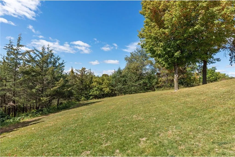 a view of a grassy field with trees