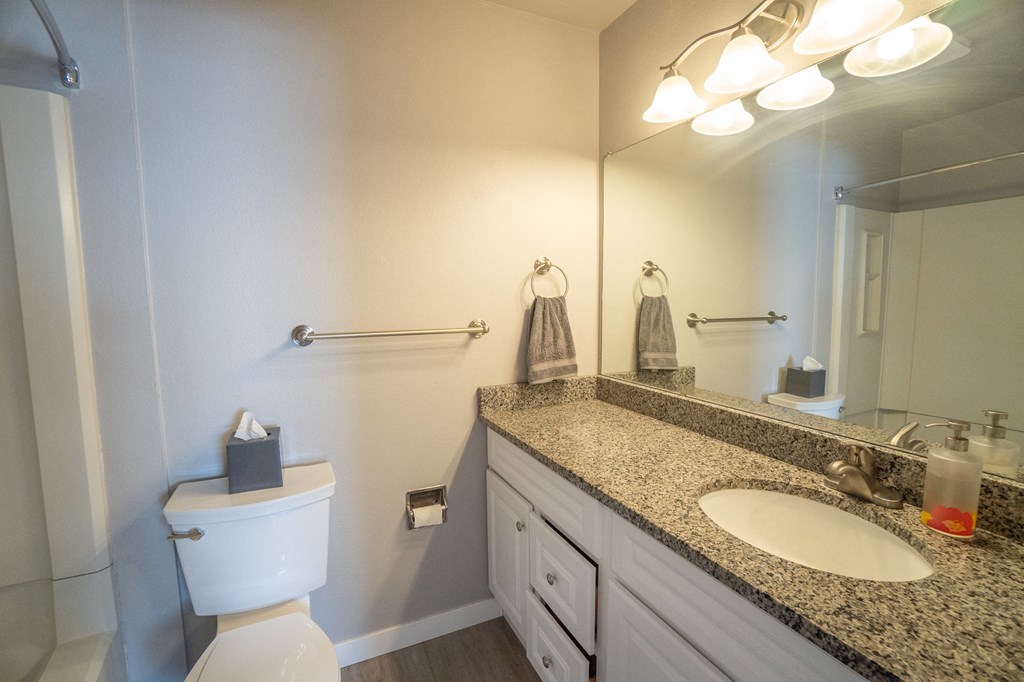 a bathroom with a sink and a toilet and a mirror