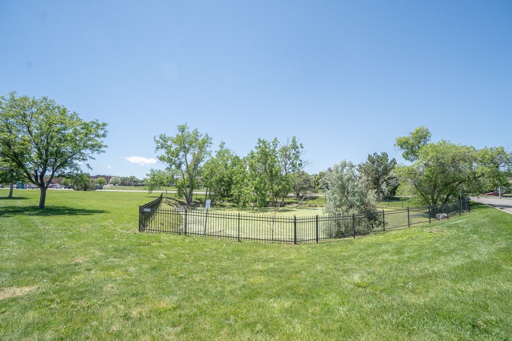 a park with a fence and trees in the grass