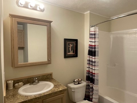 a bathroom with a sink and a shower and a mirror
