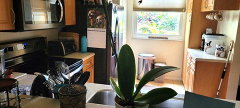 a small kitchen with a sink and a window