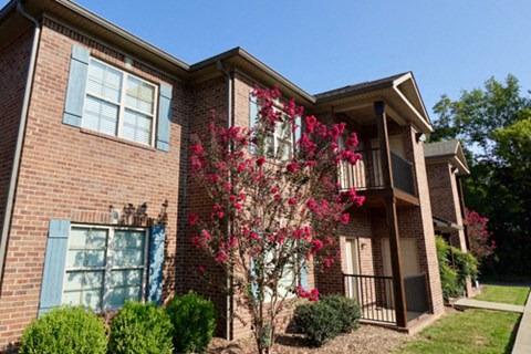 A red flowering tree is in front of a brick building.