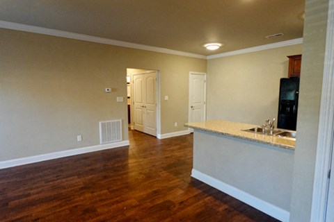 A kitchen area with a counter and cabinets.